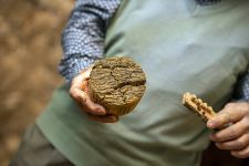 Photo de Musée des Arts et Traditions Populaires de Draguignan Photo de Musée des Arts et Traditions Populaires de Draguignan